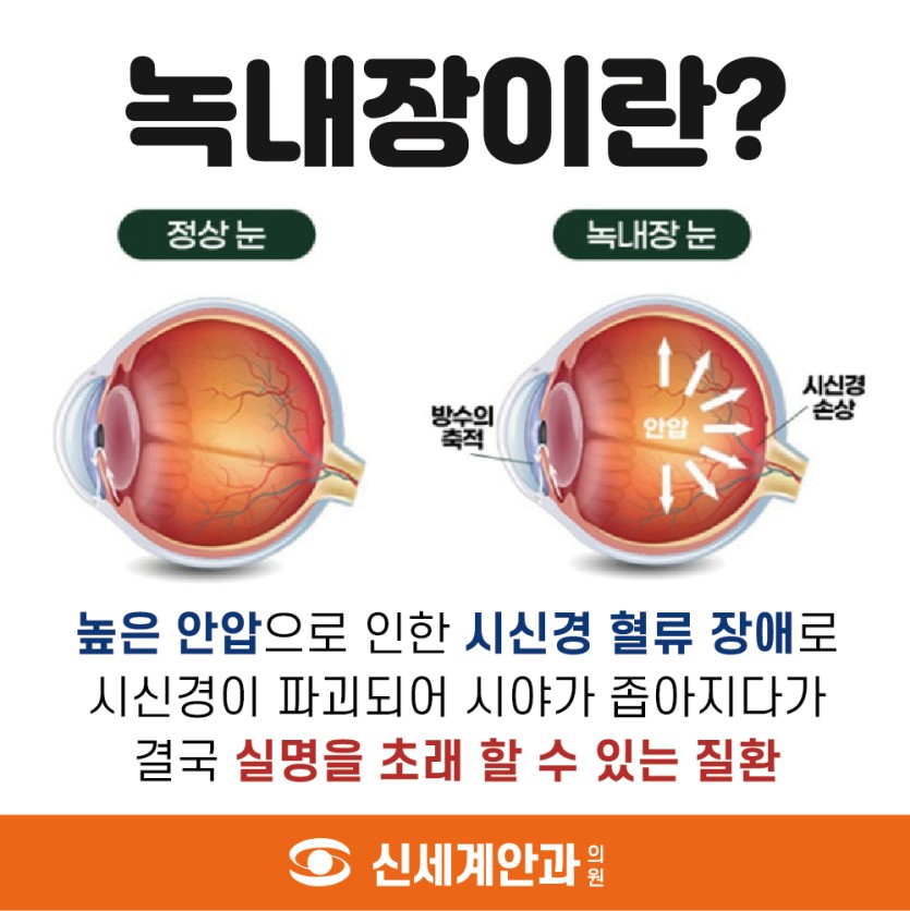 71e4f-6a9e391a6c245-dd3325d37d48e6e428540a86e12b93d4c5dd34ff.jpg