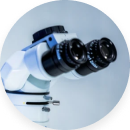 ZEISS 정밀 수술 현미경 상세 이미지